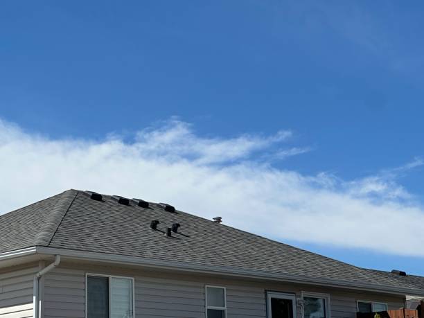 Best Roof Insulation Installation  in Hawthorne, CA